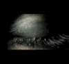 view full size