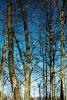 view full size
