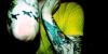 view full size